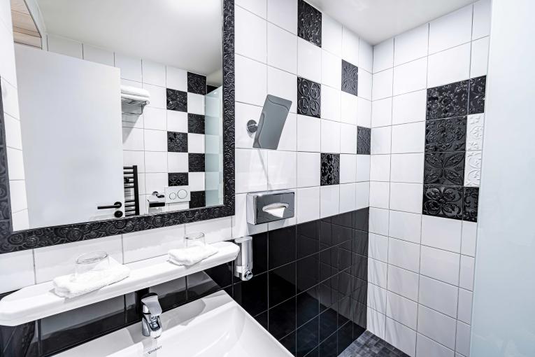Hôtel Le Cercle - Single Room